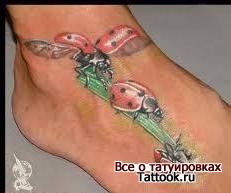 Фото тату божья коровка клевер и подкова Фото тату божья коровка клевер и подкова