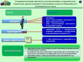 Количество схем декларирования принятых в еаэс