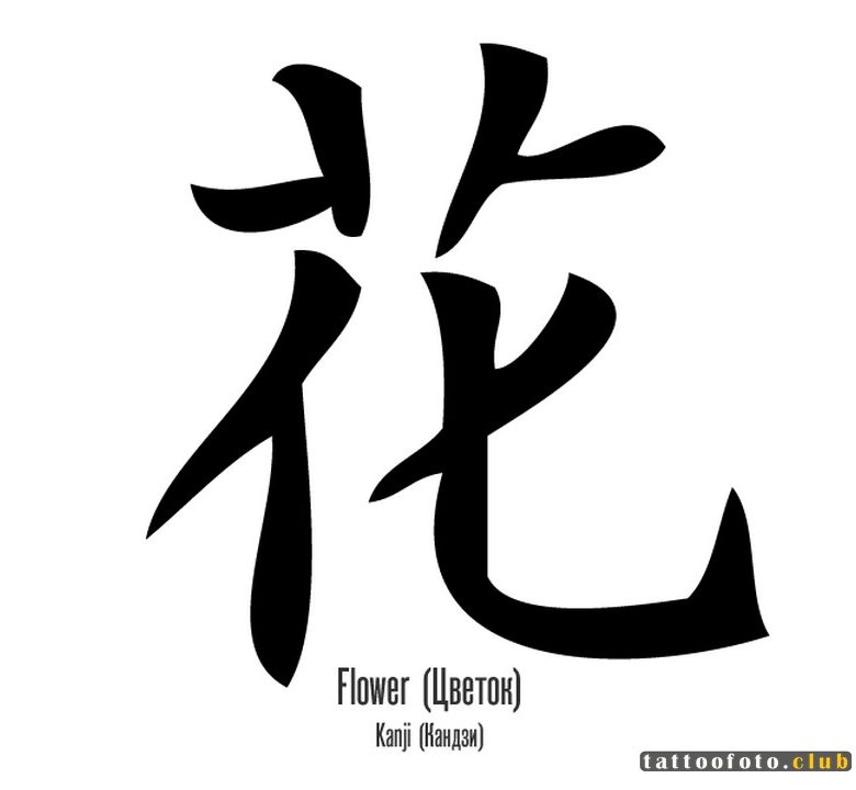 Иероглиф тайна. Китайские иероглифы. Японские иероглифы. Тату иероглифы. Японский иероглиф цветок.